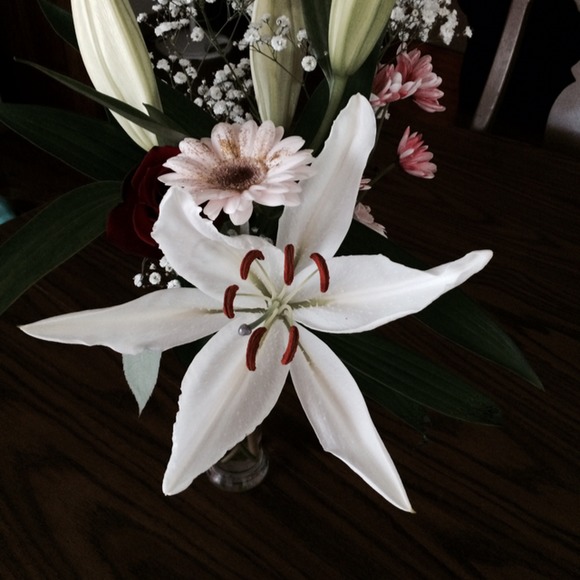 Meet your Posher, Melissa - Picture 1 of 1